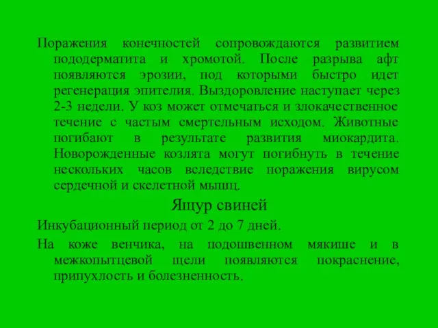 Поражения конечностей сопровождаются развитием пододерматита и хромотой. После разрыва афт появляются эрозии,