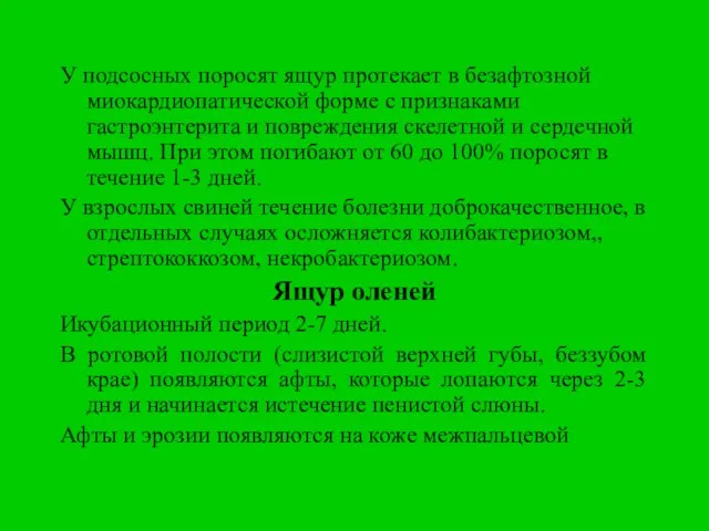 У подсосных поросят ящур протекает в безафтозной миокардиопатической форме с признаками гастроэнтерита