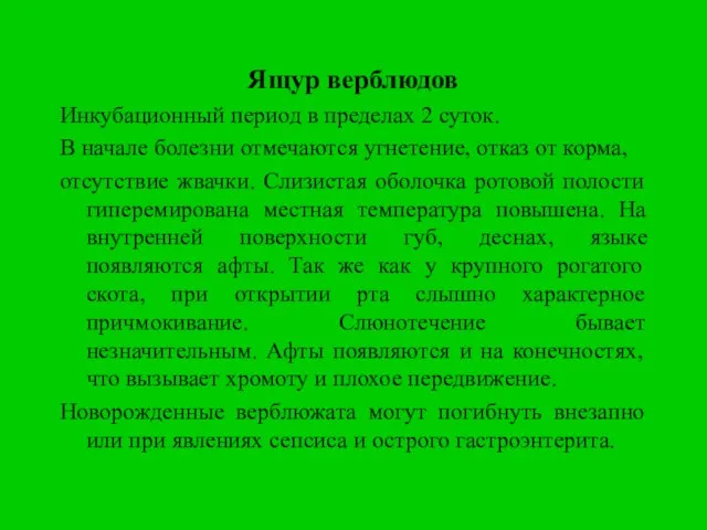 Ящур верблюдов Инкубационный период в пределах 2 суток. В начале болезни отмечаются