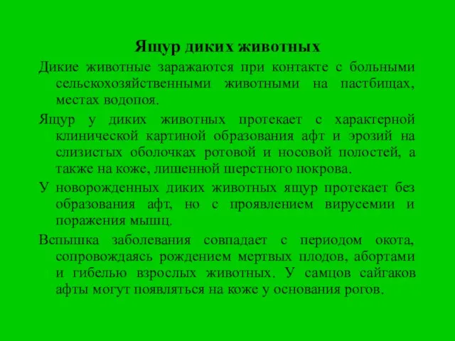 Ящур диких животных Дикие животные заражаются при контакте с больными сельскохозяйственными животными