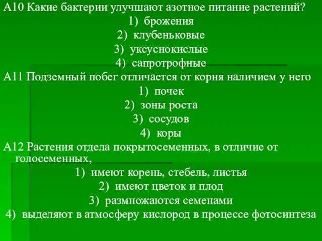 A10 Какие бактерии улучшают азотное питание растений? 1) брожения 2) клубеньковые 3)