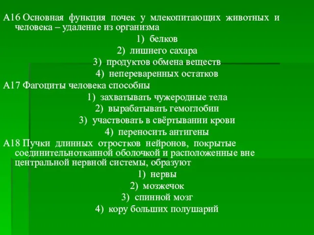 A16 Основная функция почек у млекопитающих животных и человека – удаление из