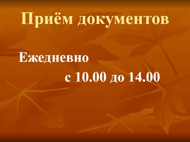 Приём документов Ежедневно с 10.00 до 14.00