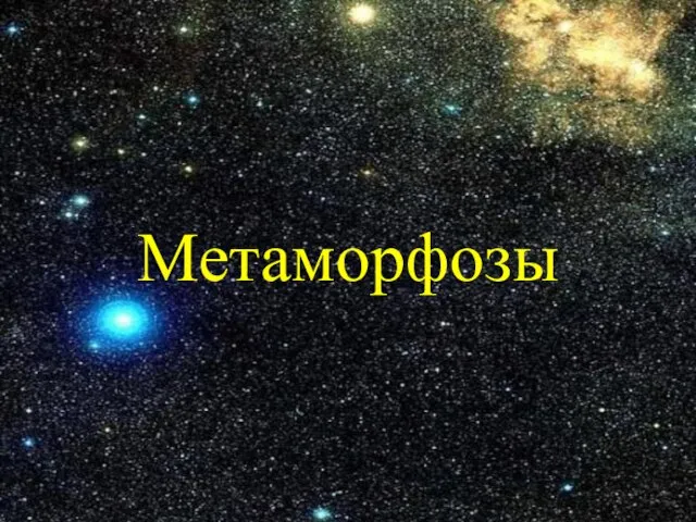 Метаморфозы