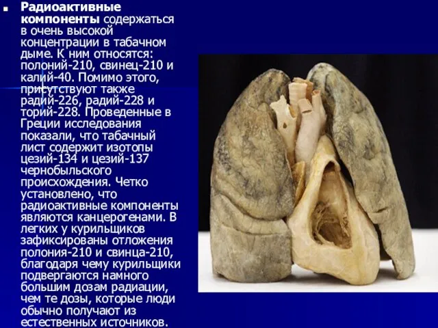 Радиоактивные компоненты содержаться в очень высокой концентрации в табачном дыме. К ним