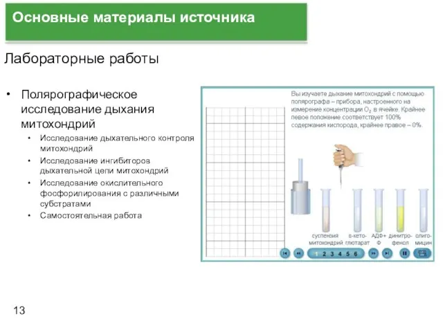 Основные материалы источника Лабораторные работы Полярографическое исследование дыхания митохондрий Исследование дыхательного контроля