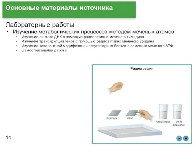 Основные материалы источника Лабораторные работы Изучение метаболических процессов методом меченых атомов Изучение