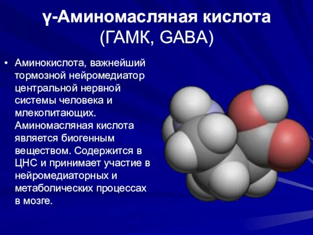 γ-Аминомасляная кислота (ГАМК, GABA) Аминокислота, важнейший тормозной нейромедиатор центральной нервной системы человека