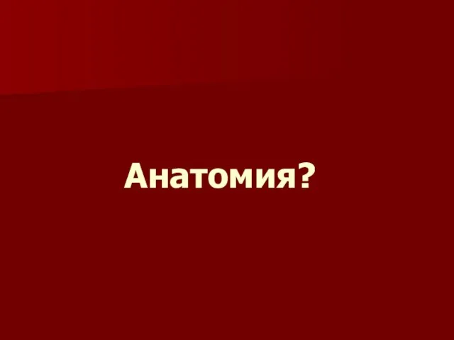 Анатомия?