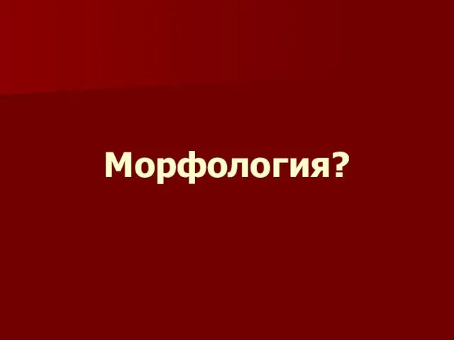 Морфология?