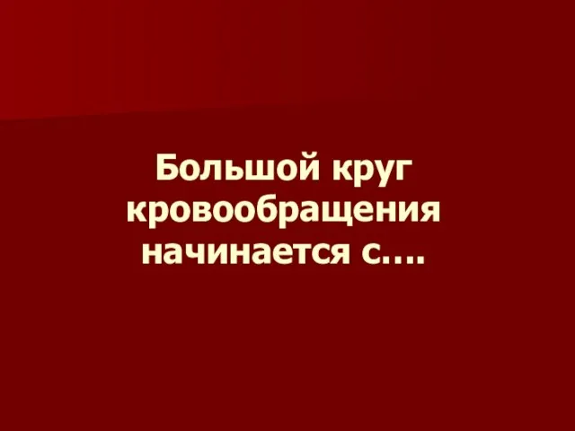 Большой круг кровообращения начинается с….