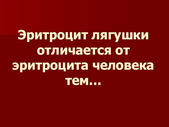 Эритроцит лягушки отличается от эритроцита человека тем…