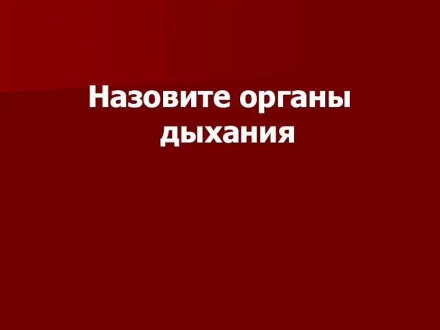 Назовите органы дыхания