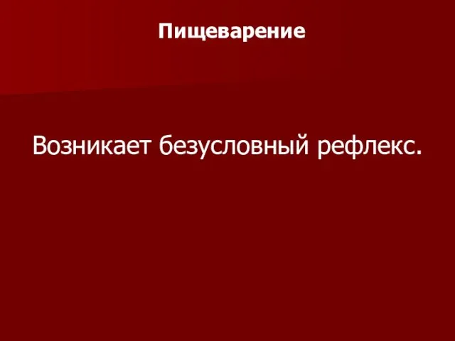 Пищеварение Возникает безусловный рефлекс.