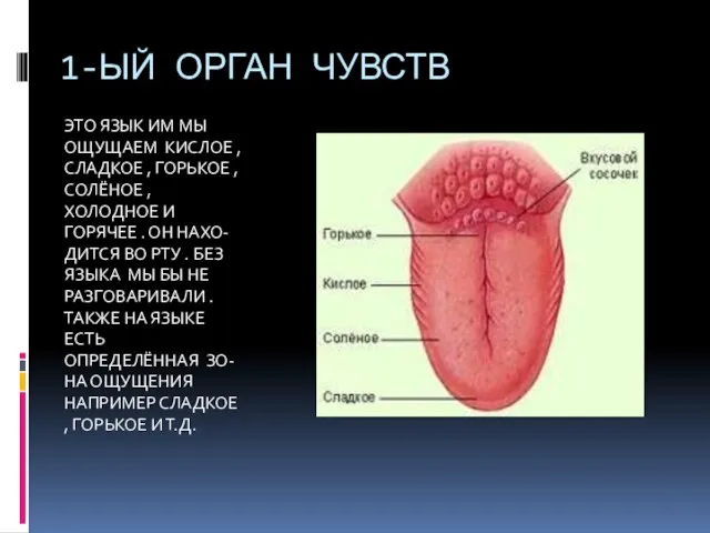 1-ЫЙ ОРГАН ЧУВСТВ ЭТО ЯЗЫК ИМ МЫ ОЩУЩАЕМ КИСЛОЕ , СЛАДКОЕ ,