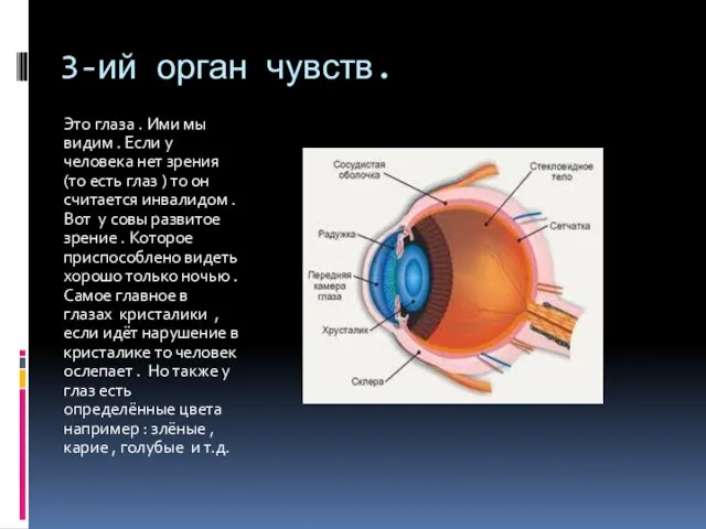 3-ий орган чувств. Это глаза . Ими мы видим . Если у