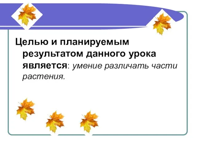 Целью и планируемым результатом данного урока является: умение различать части растения.