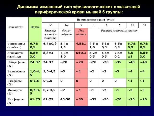 Динамика изменений гистофизиологических показателей периферической крови мышей 5 группы: