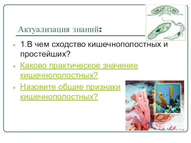 Актуализация знаний: 1.В чем сходство кишечнополостных и простейших? Каково практическое значение кишечнополостных? Назовите общие признаки кишечнополостных?