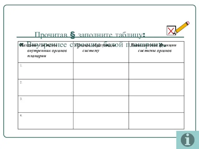 Прочитав § заполните таблицу: « Внутреннее строение белой планарии».