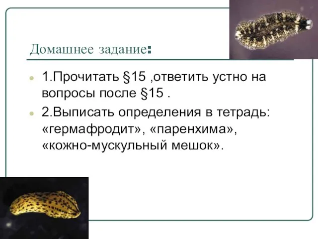 Домашнее задание: 1.Прочитать §15 ,ответить устно на вопросы после §15 . 2.Выписать