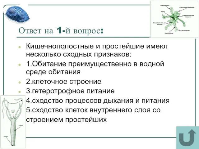 Ответ на 1-й вопрос: Кишечнополостные и простейшие имеют несколько сходных признаков: 1.Обитание