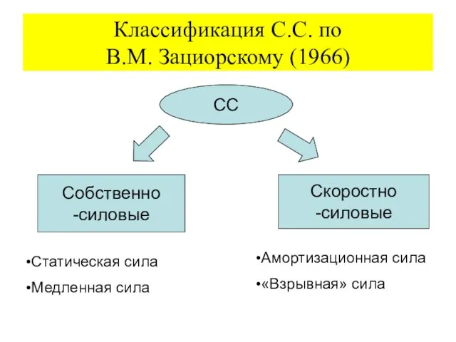 Классификация С.С. по В.М. Зациорскому (1966) СС Собственно -силовые Скоростно -силовые Статическая