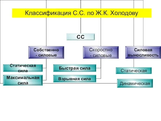 Классификация С.С. по Ж.К. Холодову