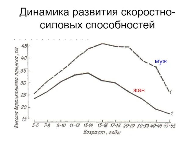 Динамика развития скоростно-силовых способностей муж жен