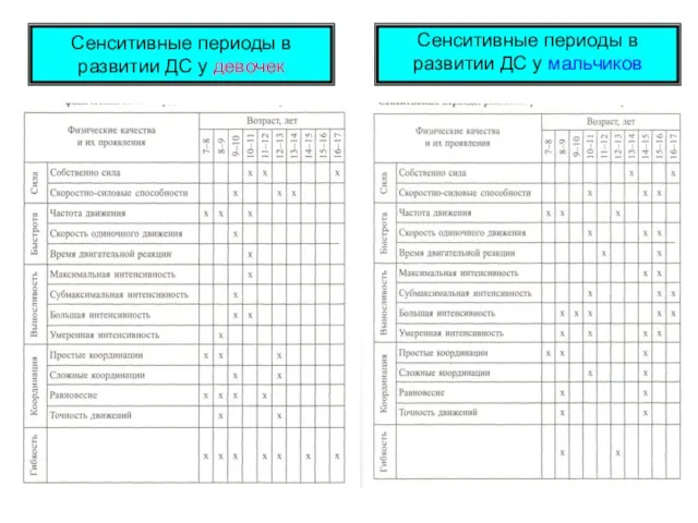 Сенситивные периоды в развитии ДС у мальчиков Сенситивные периоды в развитии ДС у девочек