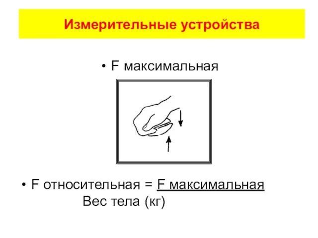 Измерительные устройства F максимальная F относительная = F максимальная Вес тела (кг)