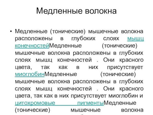 Медленные волокна Медленные (тонические) мышечные волокна расположены в глубоких слоях мышц конечностейМедленные