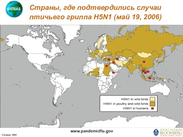 www.pandemicflu.gov Страны, где подтвердились случаи птичьего гриппа H5N1 (май 19, 2006)