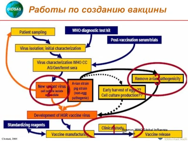 Работы по созданию вакцины Source: WHO Global Influenza Program