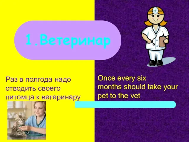 Раз в полгода надо отводить своего питомца к ветеринару 1.Ветеринар Once every