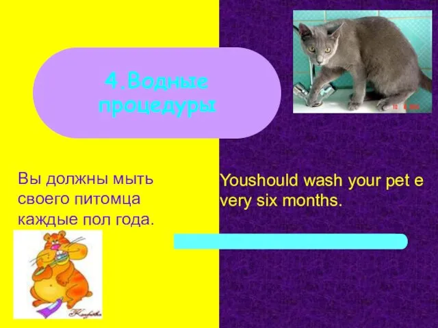 Вы должны мыть своего питомца каждые пол года. 4.Водные процедуры Youshould wash