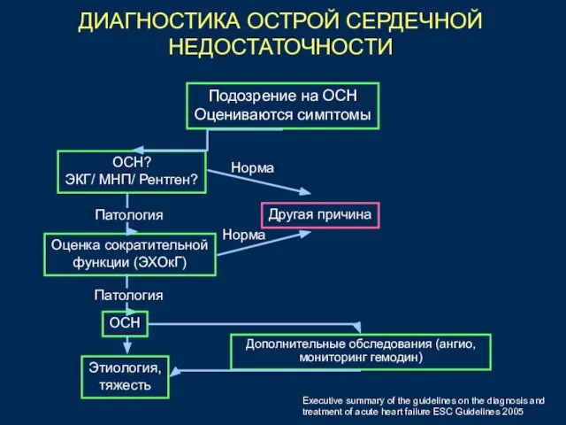 Executive summary of the guidelines on the diagnosis and treatment of acute