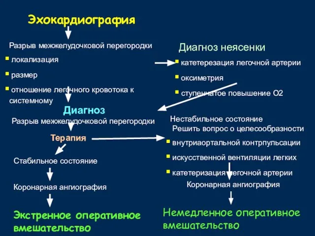 Эхокардиография Разрыв межжелудочковой перегородки локализация размер отношение легочного кровотока к системному Диагноз