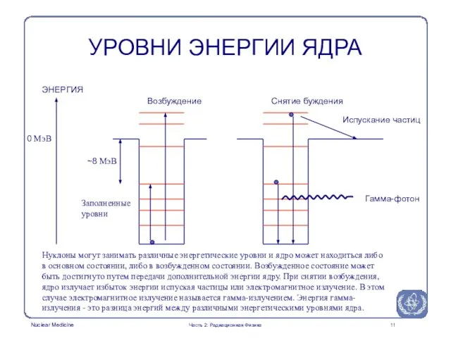 УРОВНИ ЭНЕРГИИ ЯДРА Нуклоны могут занимать различные энергетические уровни и ядро может