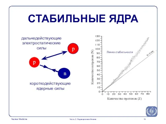 СТАБИЛЬНЫЕ ЯДРА дальнедействующие электростатические силы короткодействующие ядерные силы p p n Линия