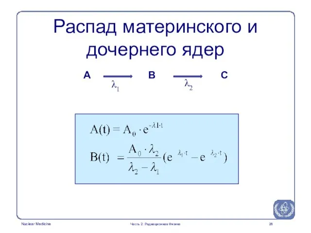 Распад материнского и дочернего ядер A C B λ1 λ2 Часть 2: Радиационная Физика