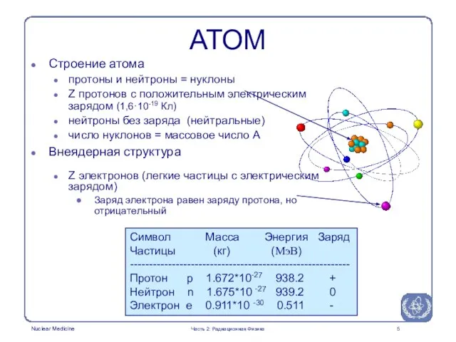 Часть 2: Радиационная Физика АТОМ Строение атома протоны и нейтроны = нуклоны