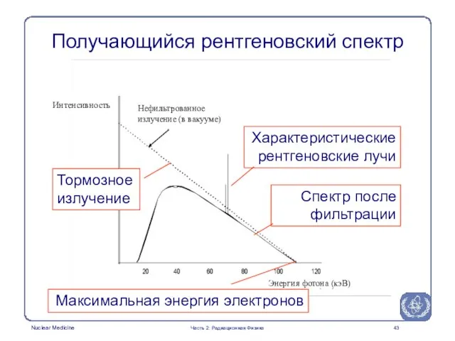 Получающийся рентгеновский спектр Характеристические рентгеновские лучи Тормозное излучение Спектр после фильтрации Максимальная