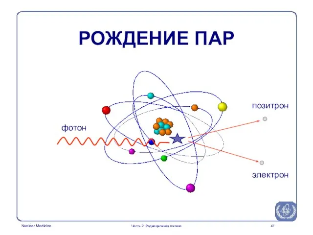 РОЖДЕНИЕ ПАР фотон позитрон электрон Часть 2: Радиационная Физика