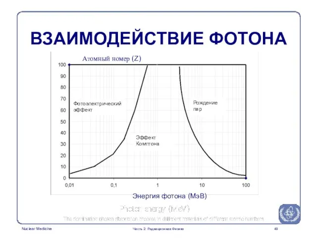 ВЗАИМОДЕЙСТВИЕ ФОТОНА Энергия фотона (МэВ) Атомный номер (Z) Часть 2: Радиационная Физика