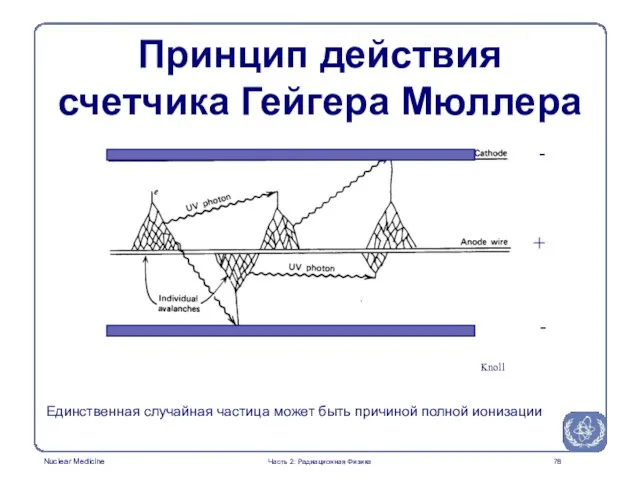 Knoll - + - Единственная случайная частица может быть причиной полной ионизации