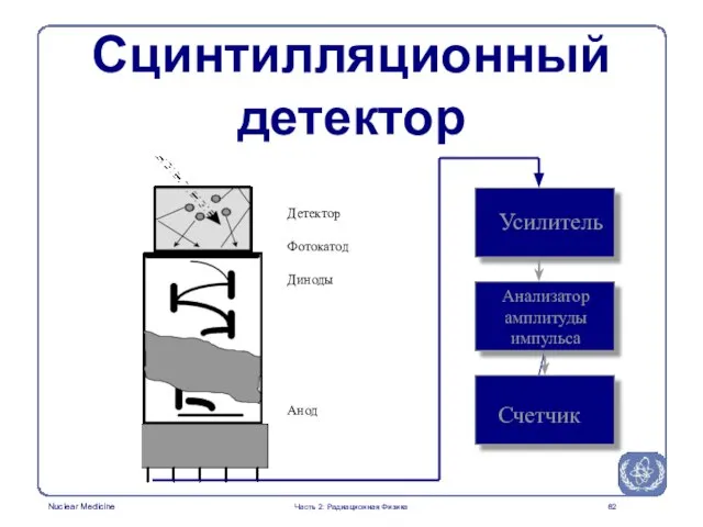 Усилитель Анализатор амплитуды импульса Счетчик Сцинтилляционный детектор Часть 2: Радиационная Физика Детектор Фотокатод Диноды Анод