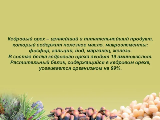 Кедровый орех – ценнейший и питательнейший продукт, который содержит полезное масло, микроэлементы: