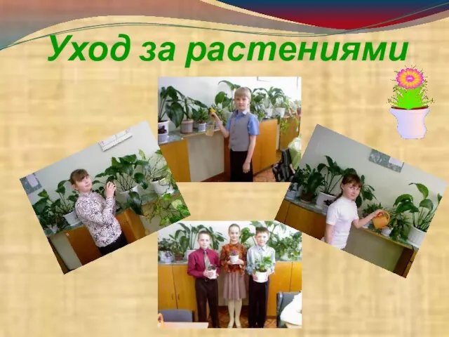 Уход за растениями