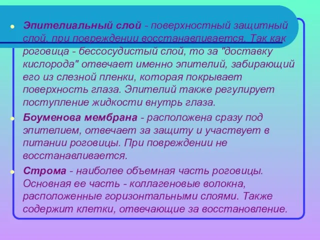 Эпителиальный слой - поверхностный защитный слой, при повреждении восстанавливается. Так как роговица